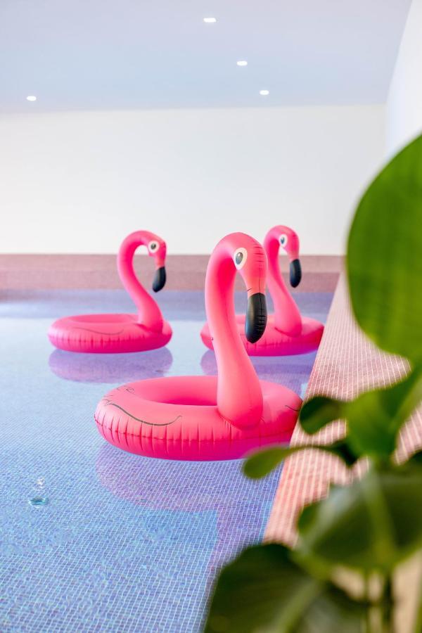 Отель The Flamingo Тиммендорфер-Штранд Экстерьер фото